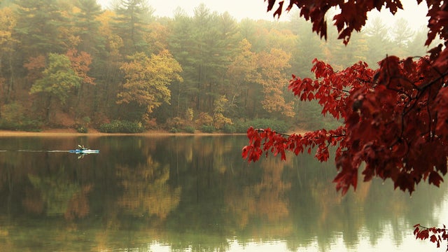 walden-thoreau-jacob-1-xd.jpg 